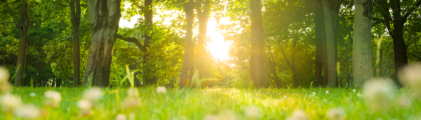 환경 가치 실천