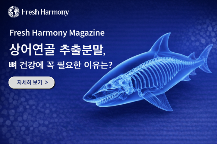 상어연골 추출분말, 뼈 건강에 꼭 필요한 이유는?