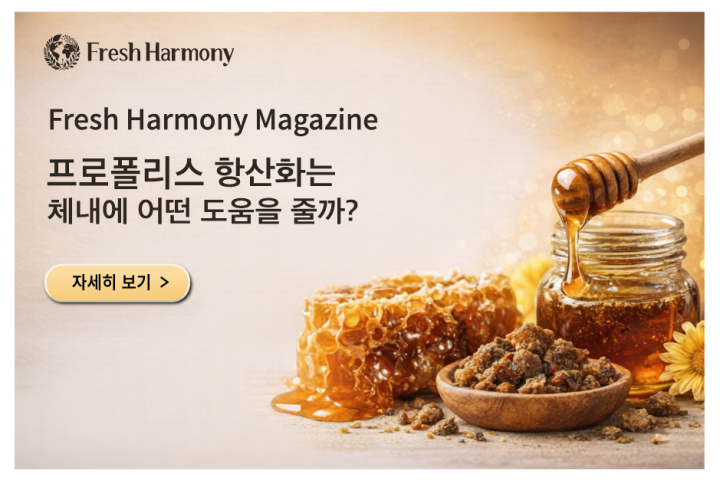 프로폴리스 항산화는 체내에 어떤 도움을 줄까?