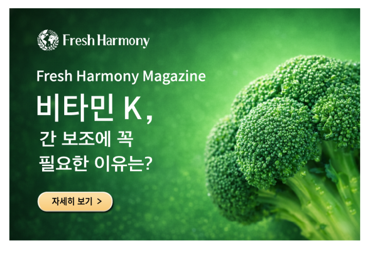 비타민 K, 간 보조에 꼭 필요한 이유는?