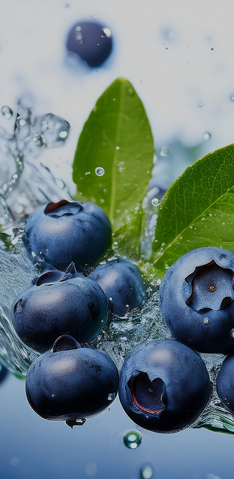 자연산 블루베리