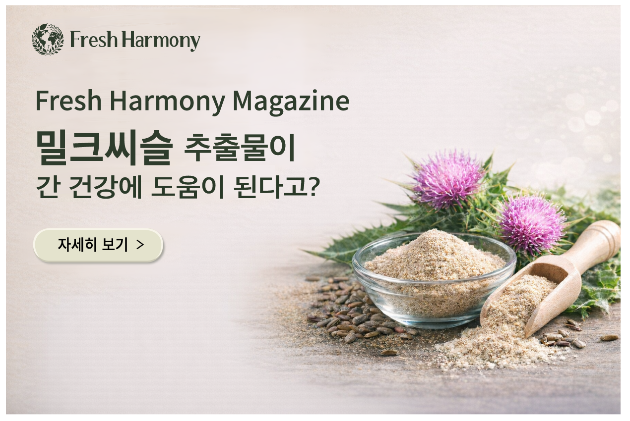 밀크씨슬 추출물이 간 건강에 도움이 된다고?